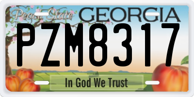 GA license plate PZM8317