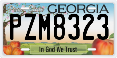 GA license plate PZM8323