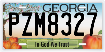 GA license plate PZM8327