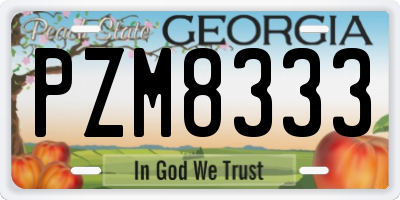 GA license plate PZM8333
