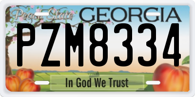 GA license plate PZM8334