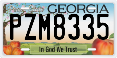 GA license plate PZM8335