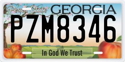 GA license plate PZM8346