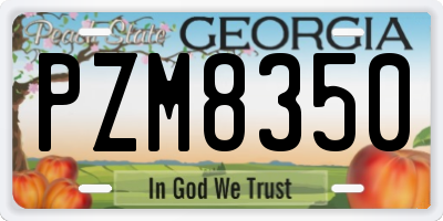GA license plate PZM8350