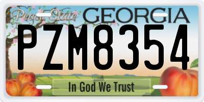 GA license plate PZM8354