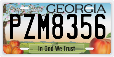 GA license plate PZM8356