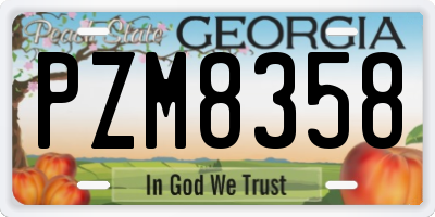 GA license plate PZM8358