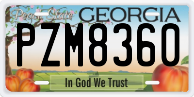 GA license plate PZM8360