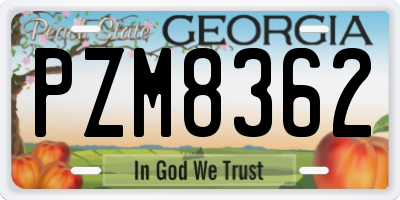 GA license plate PZM8362