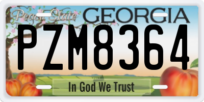 GA license plate PZM8364
