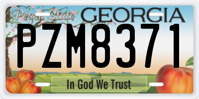 GA license plate PZM8371