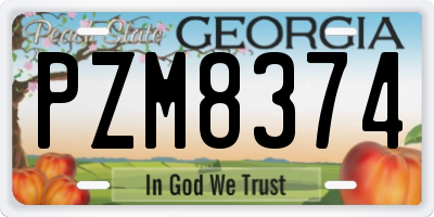 GA license plate PZM8374