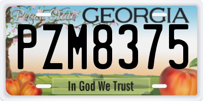 GA license plate PZM8375