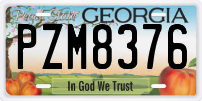 GA license plate PZM8376