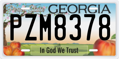GA license plate PZM8378