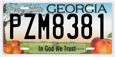 GA license plate PZM8381