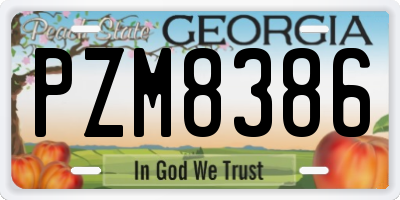 GA license plate PZM8386