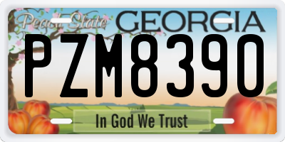GA license plate PZM8390
