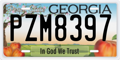 GA license plate PZM8397