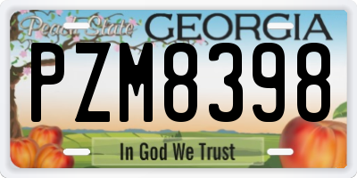 GA license plate PZM8398