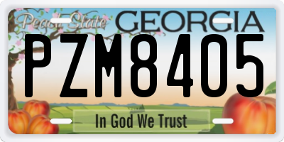 GA license plate PZM8405