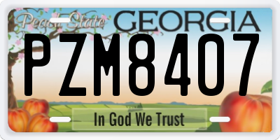 GA license plate PZM8407