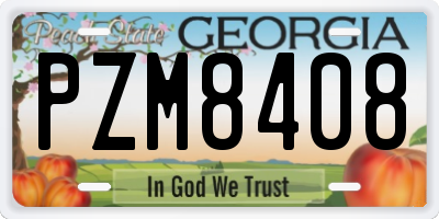 GA license plate PZM8408