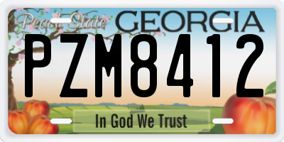 GA license plate PZM8412