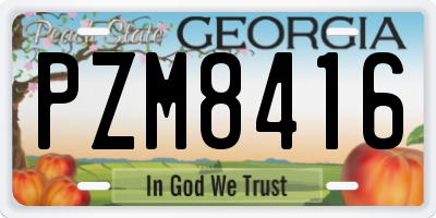 GA license plate PZM8416
