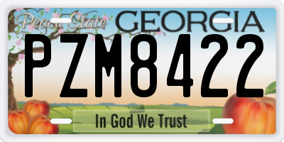 GA license plate PZM8422