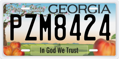 GA license plate PZM8424