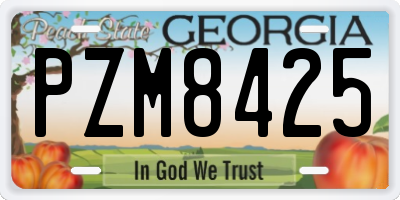 GA license plate PZM8425