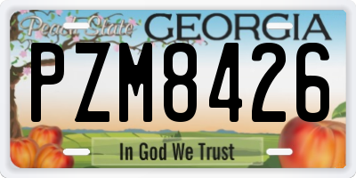 GA license plate PZM8426