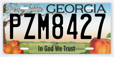 GA license plate PZM8427