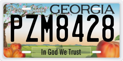 GA license plate PZM8428