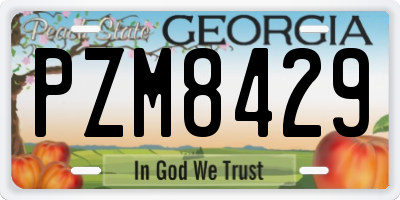 GA license plate PZM8429