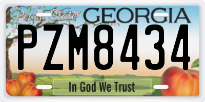 GA license plate PZM8434