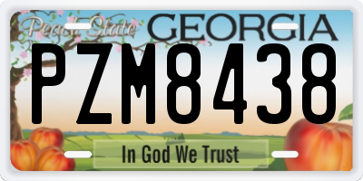 GA license plate PZM8438