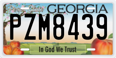 GA license plate PZM8439