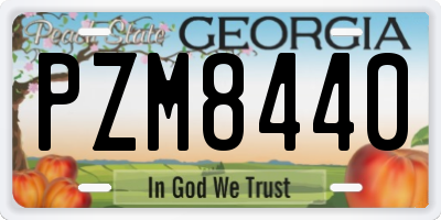 GA license plate PZM8440