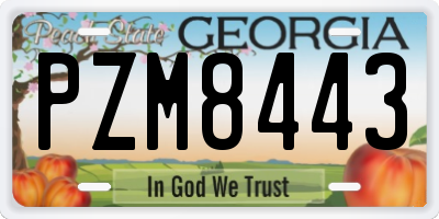 GA license plate PZM8443