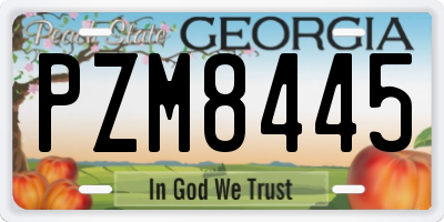 GA license plate PZM8445