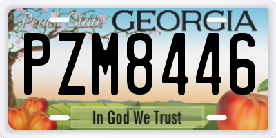 GA license plate PZM8446