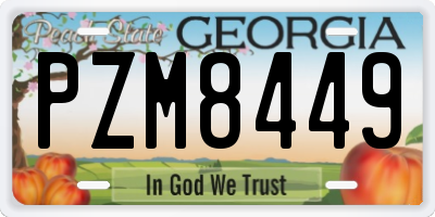 GA license plate PZM8449