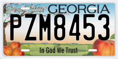 GA license plate PZM8453