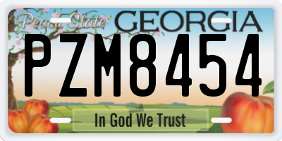 GA license plate PZM8454