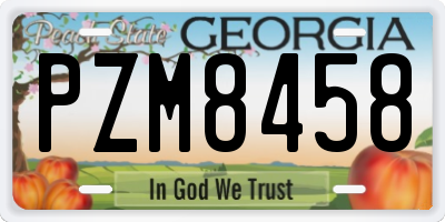 GA license plate PZM8458