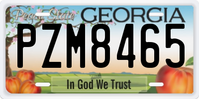 GA license plate PZM8465