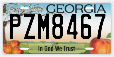 GA license plate PZM8467