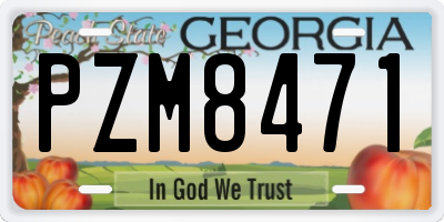 GA license plate PZM8471